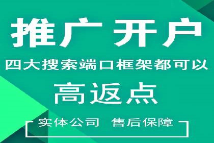 搜索引擎营销（SEM）的广告创意与落地页设计——以某成功创业公司的实践为例